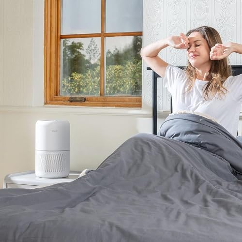 LEVOIT Air Purifier for Home Allergies Pets Hair in Bedroom